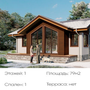 Дом из СИП панелей “Северное Сияние”